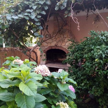 Apartment Maja زادار المظهر الخارجي الصورة